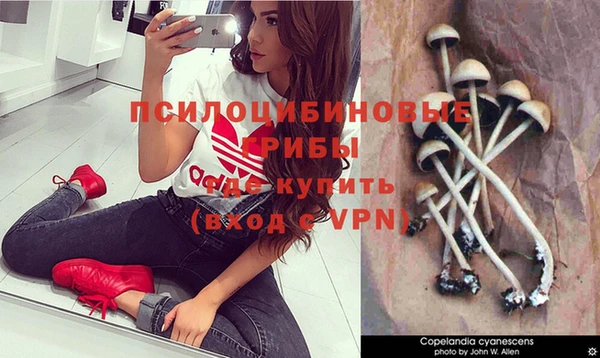 ПСИЛОЦИБИНОВЫЕ ГРИБЫ Абдулино