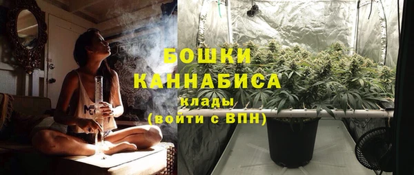 мяу мяу мука Абаза