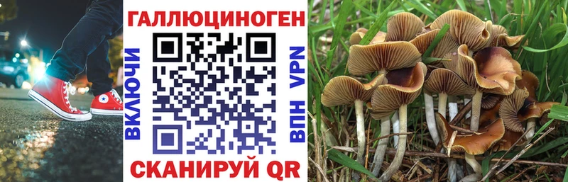 Галлюциногенные грибы Cubensis  Нижневартовск 